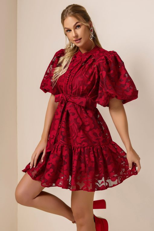 Lace Single Breasted Ruffle Mini Dress